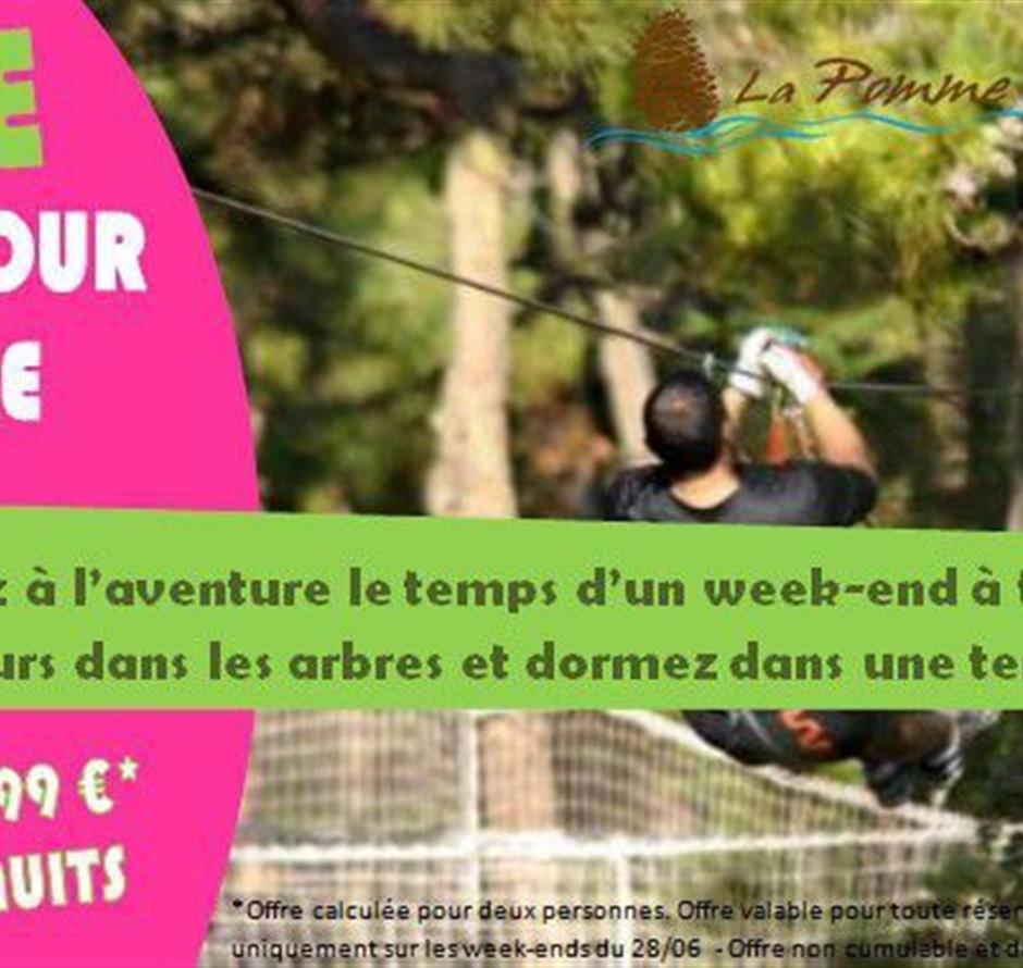 Offres spéciales camping la pomme de pin saint hilaire de riez - Camping Saint Hilaire de Riez