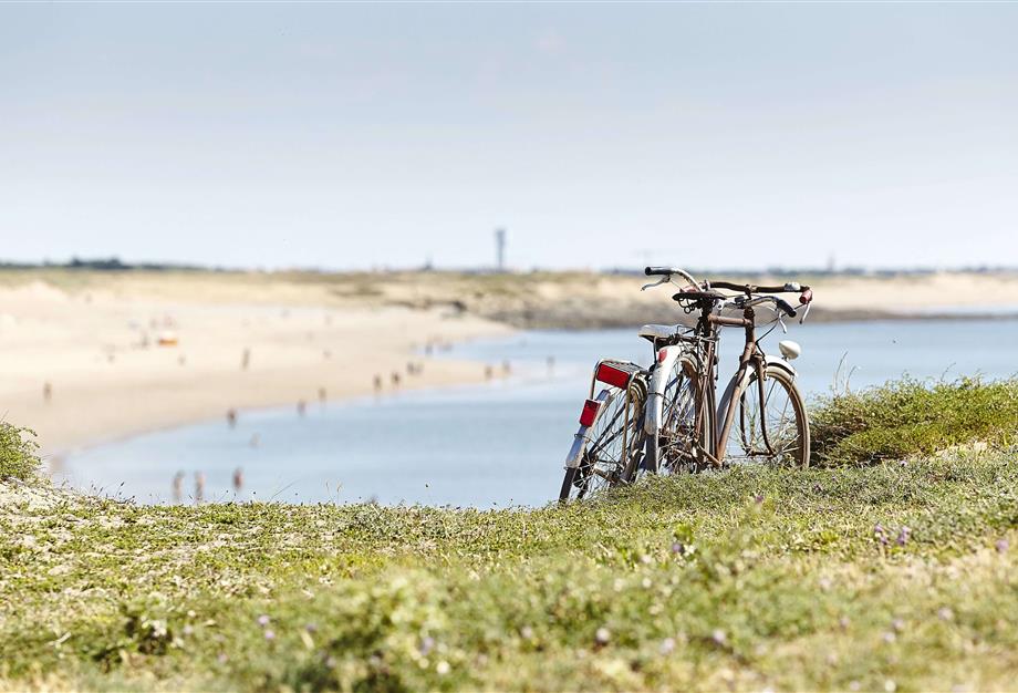 découvrir la Vendée à vélo  - Camping Saint Hilaire de Riez