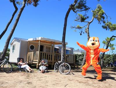 Promo camping plage en Vendée à La Pomme de Pin