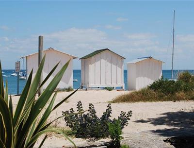 Ile de Noirmoutier proche du camping 4 étoiles La Pomme de Pin à Saint Hilaire de Riez en Vendée