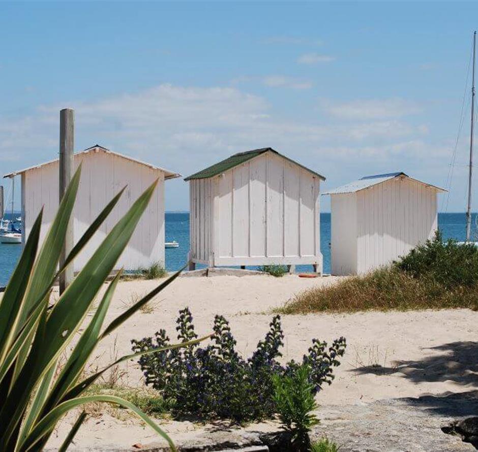 Ile de Noirmoutier proche du camping 4 étoiles La Pomme de Pin à Saint Hilaire de Riez en Vendée - Camping Saint Hilaire de Riez