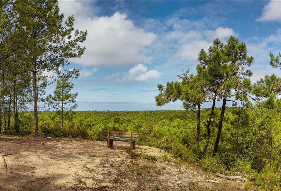 à découvrir aux alentours de st hilaire de riez  - Camping Saint Hilaire de Riez