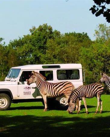 planète sauvage, safari animalier  - Camping Saint Hilaire de Riez