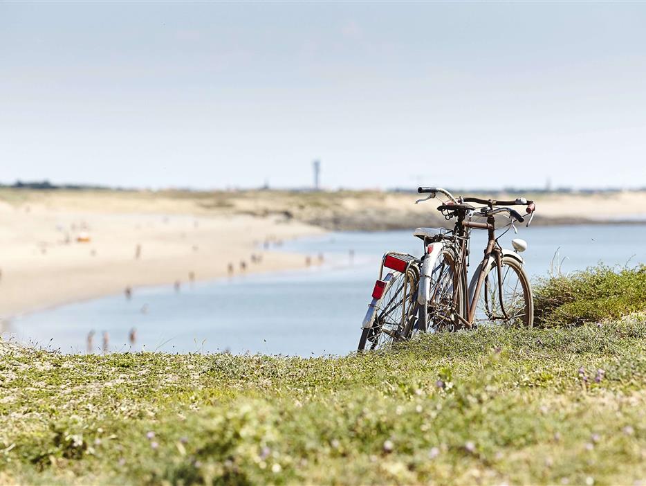 découvrir la Vendée à vélo  - Camping Saint Hilaire de Riez