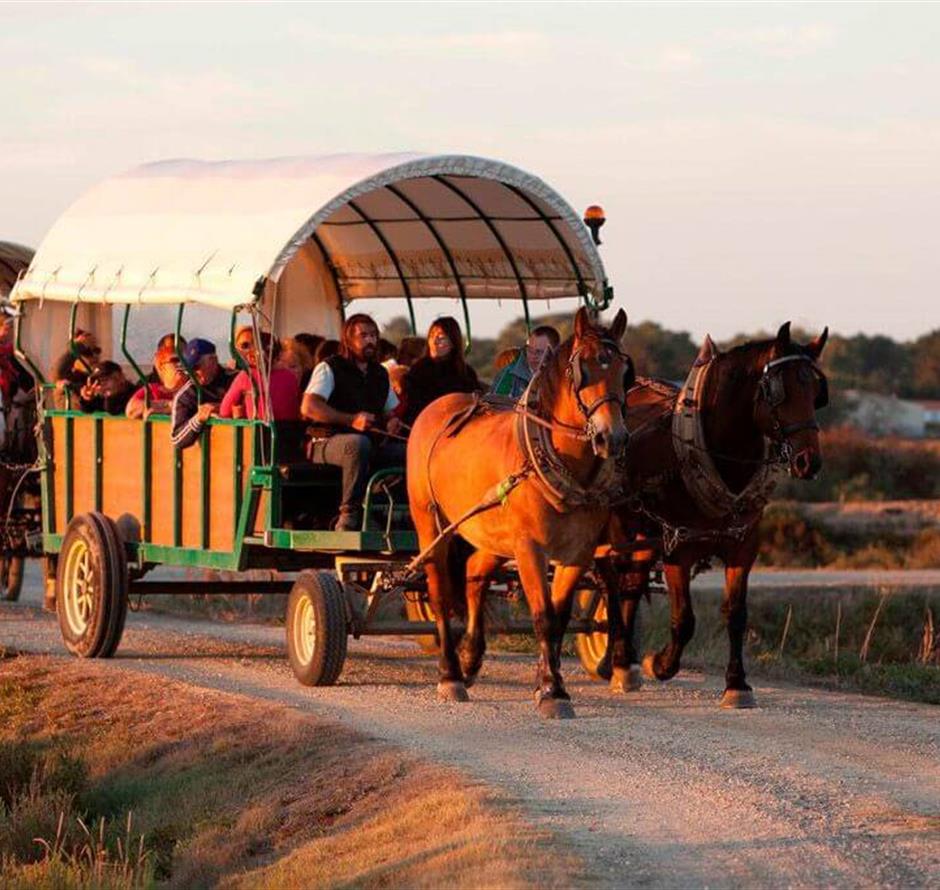 Camping Saint Hilaire de Riez