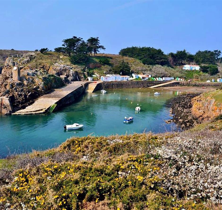 Ile d'Yeu avec le camping la pomme de pin à Saint Hilaire de Riez en Vendée - Camping Saint Hilaire de Riez