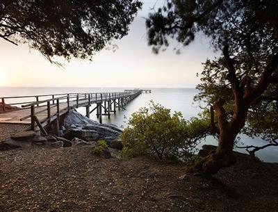 Ile de Noirmoutier proche du camping 4 étoiles La Pomme de Pin à Saint Hilaire de Riez en Vendée