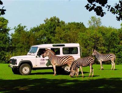 Safari animalier proche du camping La Pomme de Pin - saint jean de monts- vendée