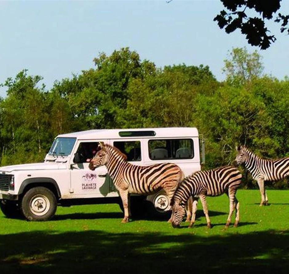 Safari animalier proche du camping La Pomme de Pin - saint jean de monts- vendée - Camping Saint Hilaire de Riez