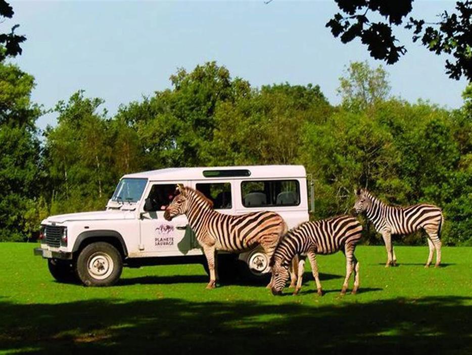 Safari animalier proche du camping La Pomme de Pin - saint jean de monts- vendée - Camping Saint Hilaire de Riez