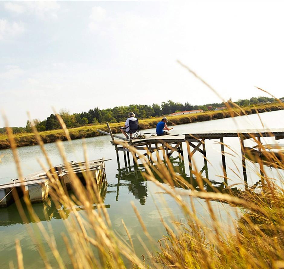 Camping Saint Hilaire de Riez