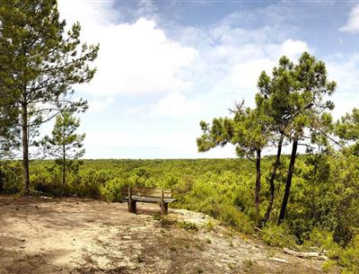 Saint-Jean-de-Monts proche du camping 4 étoiles La Pomme de Pin à Saint Hilaire de Riez en Vendée
