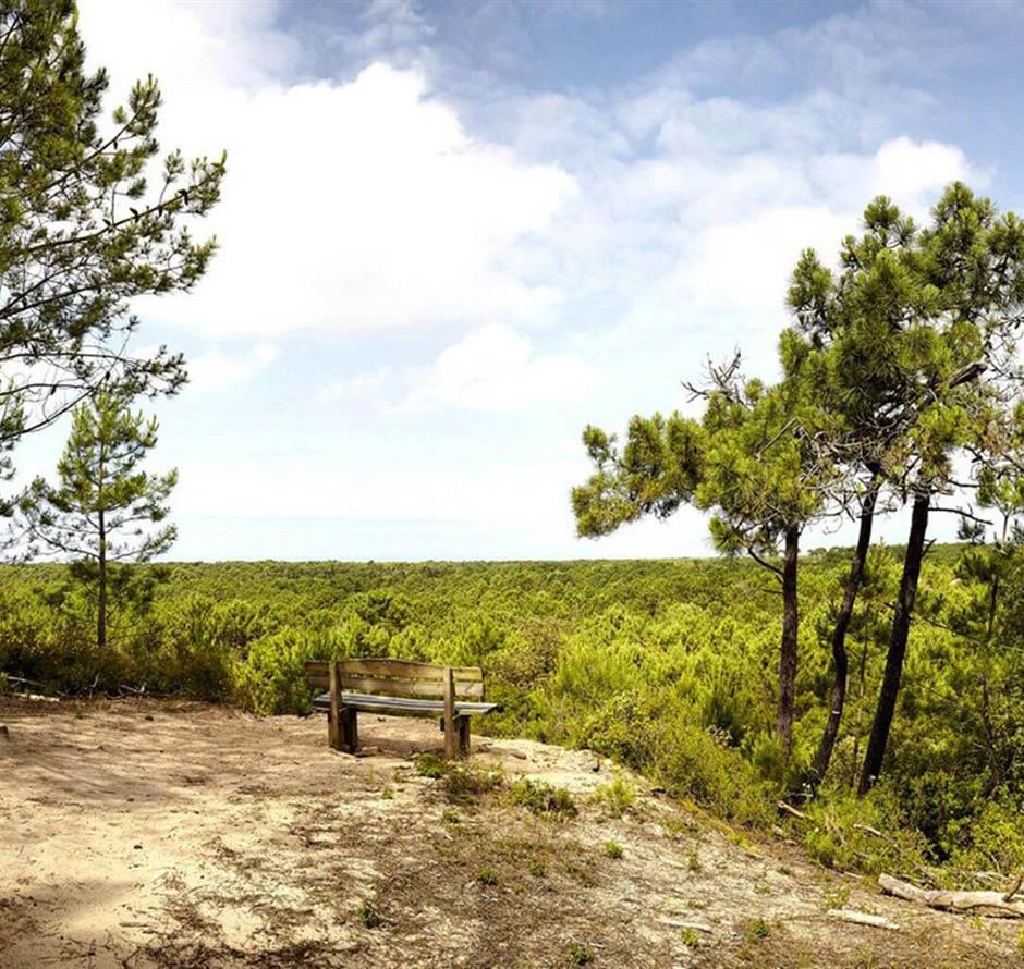 Saint-Jean-de-Monts proche du camping 4 étoiles La Pomme de Pin à Saint Hilaire de Riez en Vendée - Camping Saint Hilaire de Riez