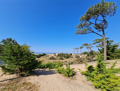 camping accès direct plage st hilaire 