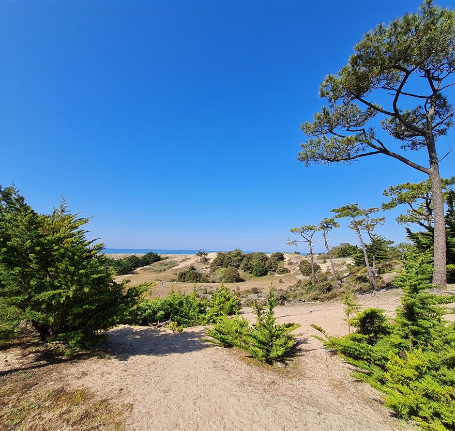 camping accès direct plage st hilaire  - Camping Saint Hilaire de Riez