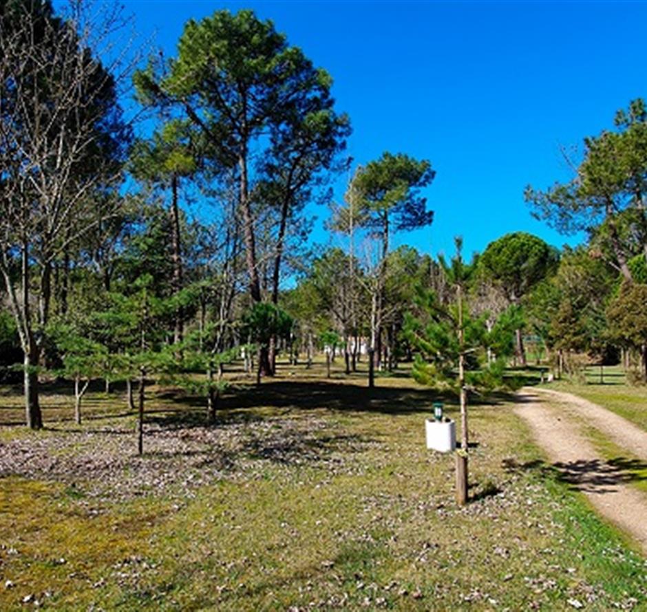 Camping Saint Hilaire de Riez
