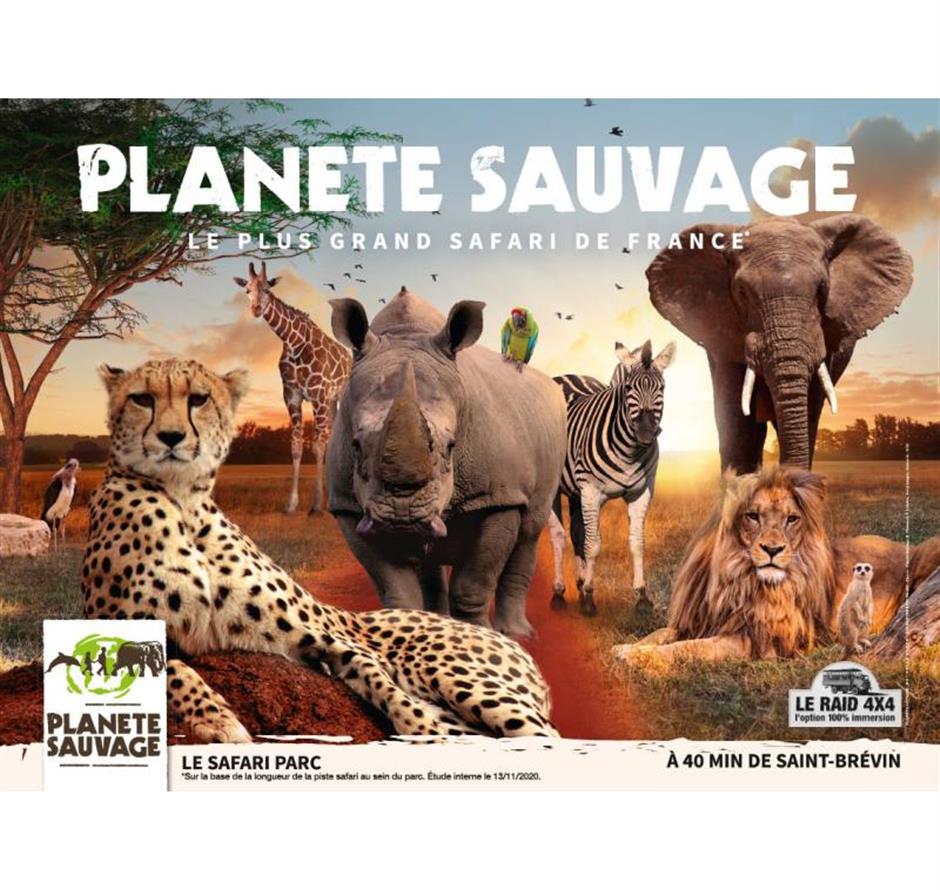 Safari animalier proche du camping La Pomme de Pin - saint jean de monts- vendée - Camping Saint Hilaire de Riez