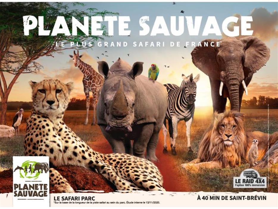 Safari animalier proche du camping La Pomme de Pin - saint jean de monts- vendée - Camping Saint Hilaire de Riez