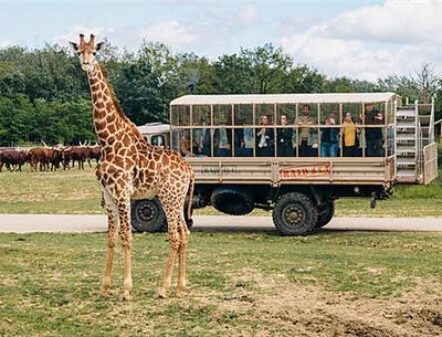 Safari animalier proche du camping La Pomme de Pin - saint jean de monts- vendée