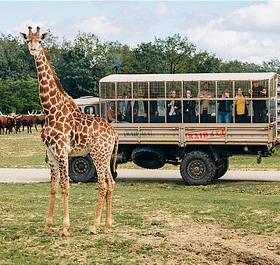 Safari animalier proche du camping La Pomme de Pin - saint jean de monts- vendée - Camping Saint Hilaire de Riez